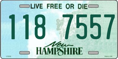 NH license plate 1187557
