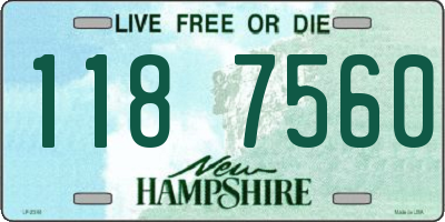 NH license plate 1187560