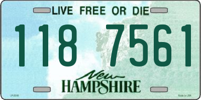 NH license plate 1187561