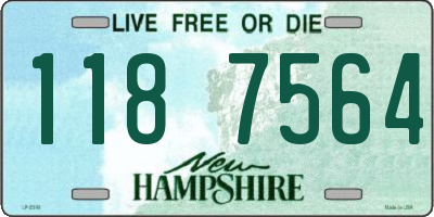 NH license plate 1187564