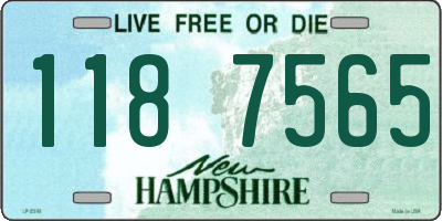 NH license plate 1187565