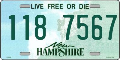 NH license plate 1187567