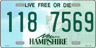 NH license plate 1187569