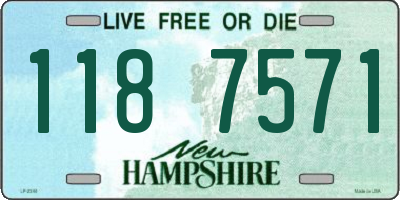 NH license plate 1187571