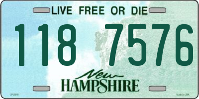 NH license plate 1187576