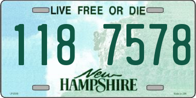NH license plate 1187578