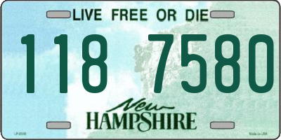 NH license plate 1187580