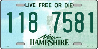 NH license plate 1187581