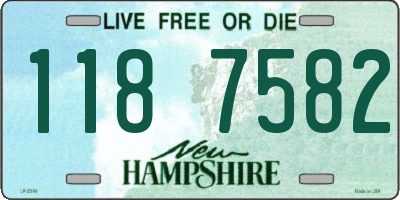 NH license plate 1187582