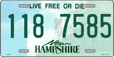 NH license plate 1187585