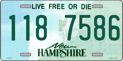 NH license plate 1187586