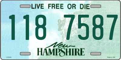 NH license plate 1187587