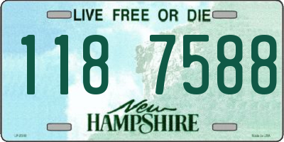 NH license plate 1187588