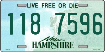 NH license plate 1187596