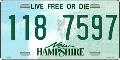 NH license plate 1187597