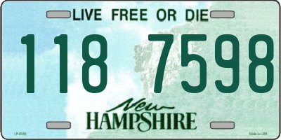 NH license plate 1187598