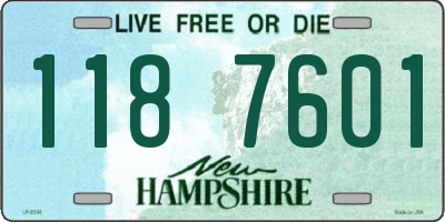 NH license plate 1187601