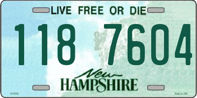 NH license plate 1187604