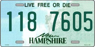 NH license plate 1187605