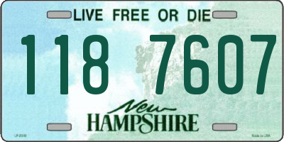 NH license plate 1187607