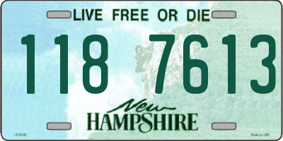 NH license plate 1187613