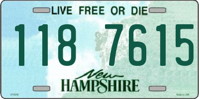 NH license plate 1187615