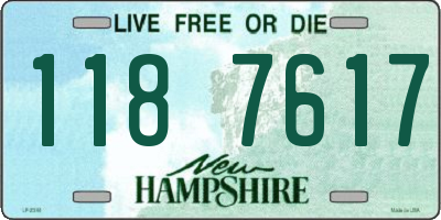 NH license plate 1187617