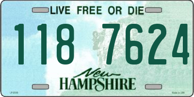 NH license plate 1187624
