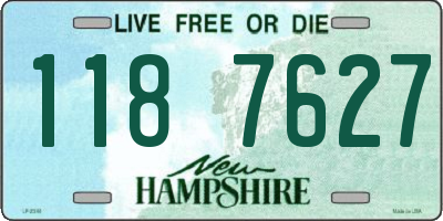 NH license plate 1187627