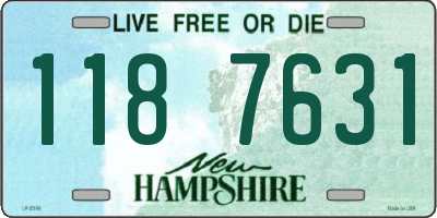 NH license plate 1187631