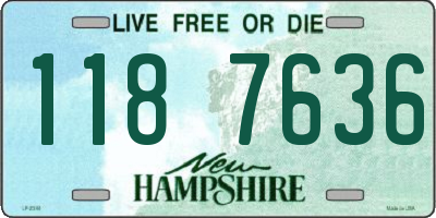 NH license plate 1187636