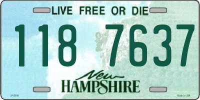 NH license plate 1187637