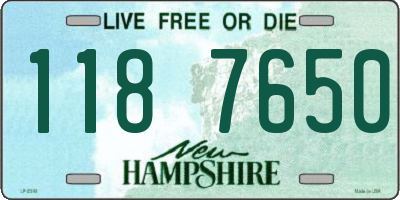 NH license plate 1187650