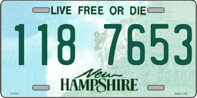 NH license plate 1187653