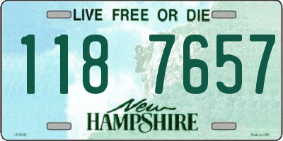 NH license plate 1187657
