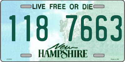 NH license plate 1187663