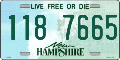 NH license plate 1187665