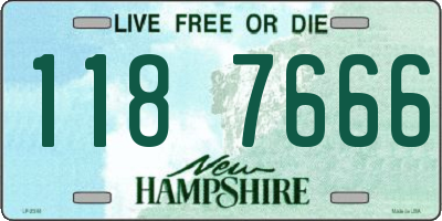 NH license plate 1187666