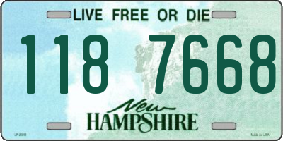 NH license plate 1187668
