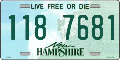 NH license plate 1187681