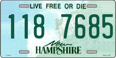 NH license plate 1187685