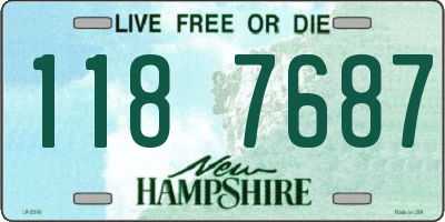 NH license plate 1187687