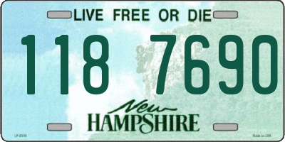 NH license plate 1187690