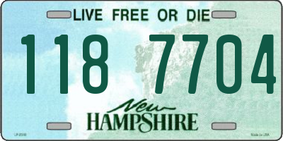 NH license plate 1187704