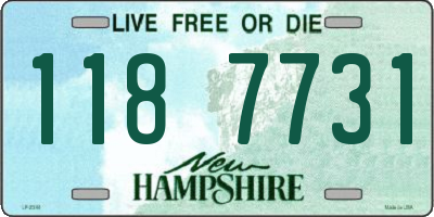NH license plate 1187731