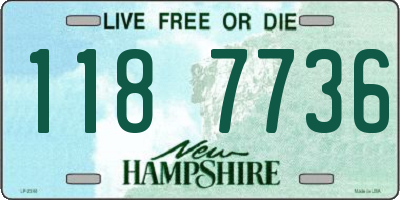 NH license plate 1187736
