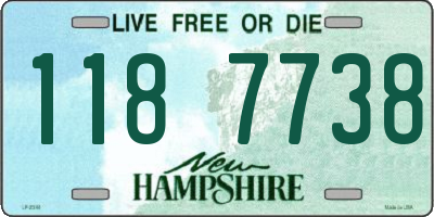 NH license plate 1187738