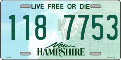 NH license plate 1187753