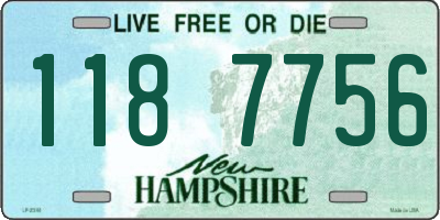 NH license plate 1187756