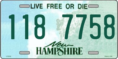 NH license plate 1187758
